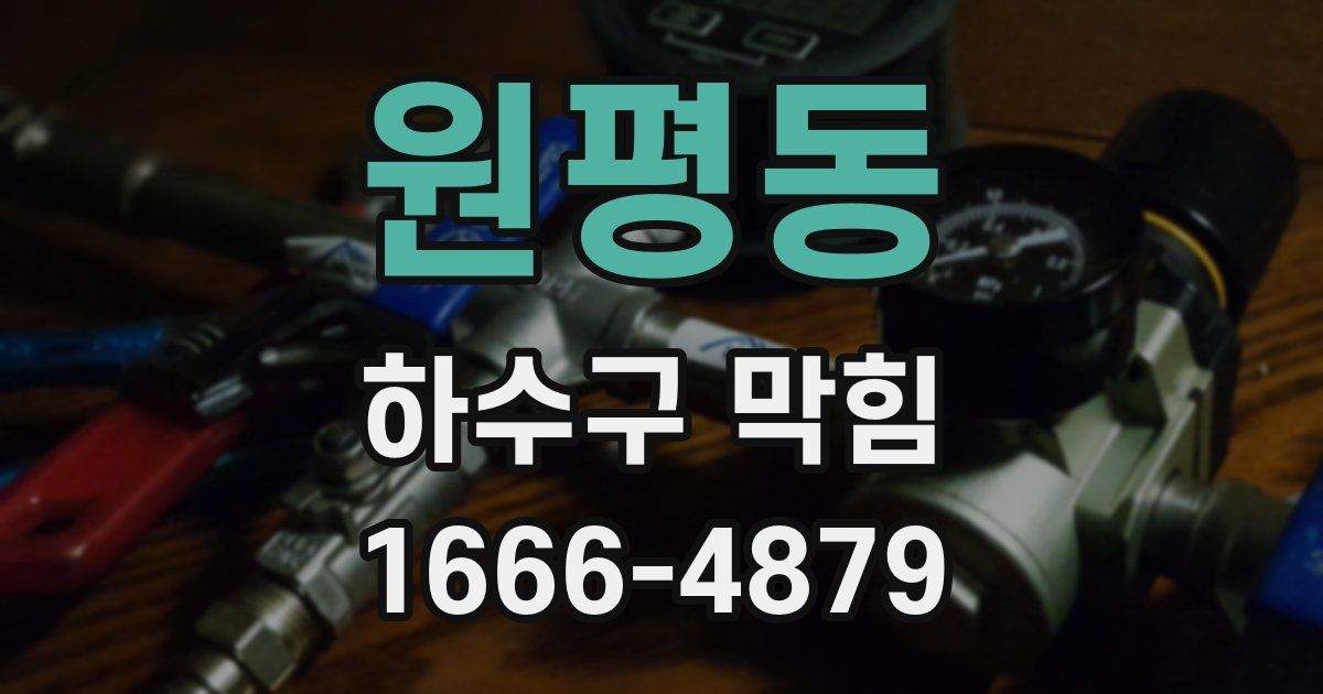 원평동 하수구 막힘