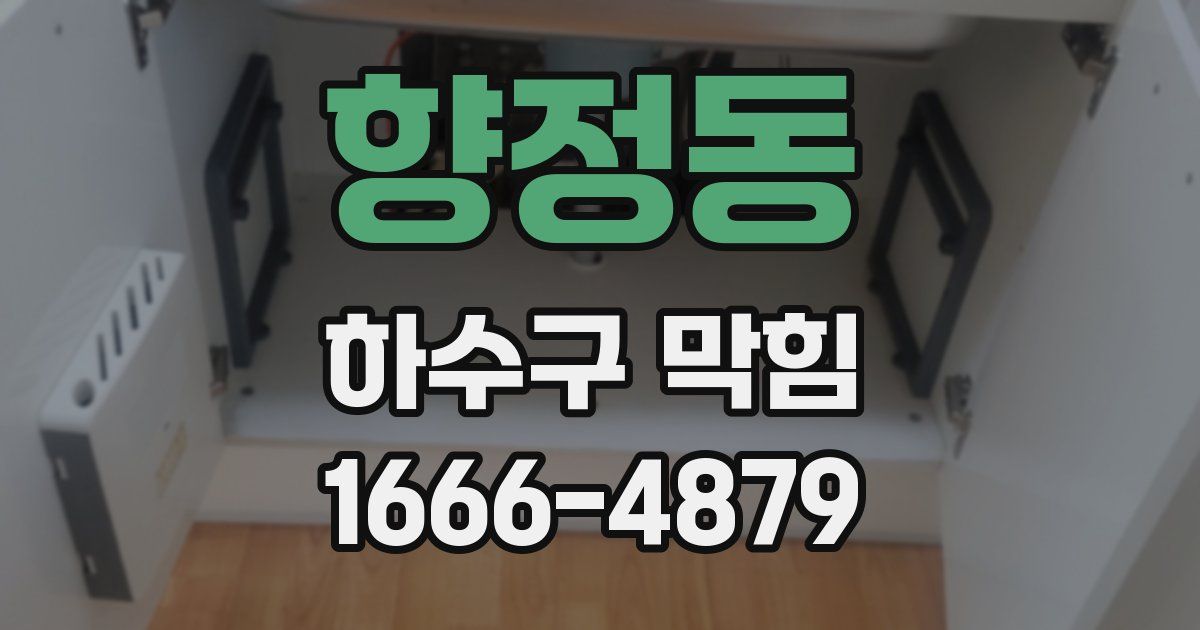 향정동 하수구 막힘