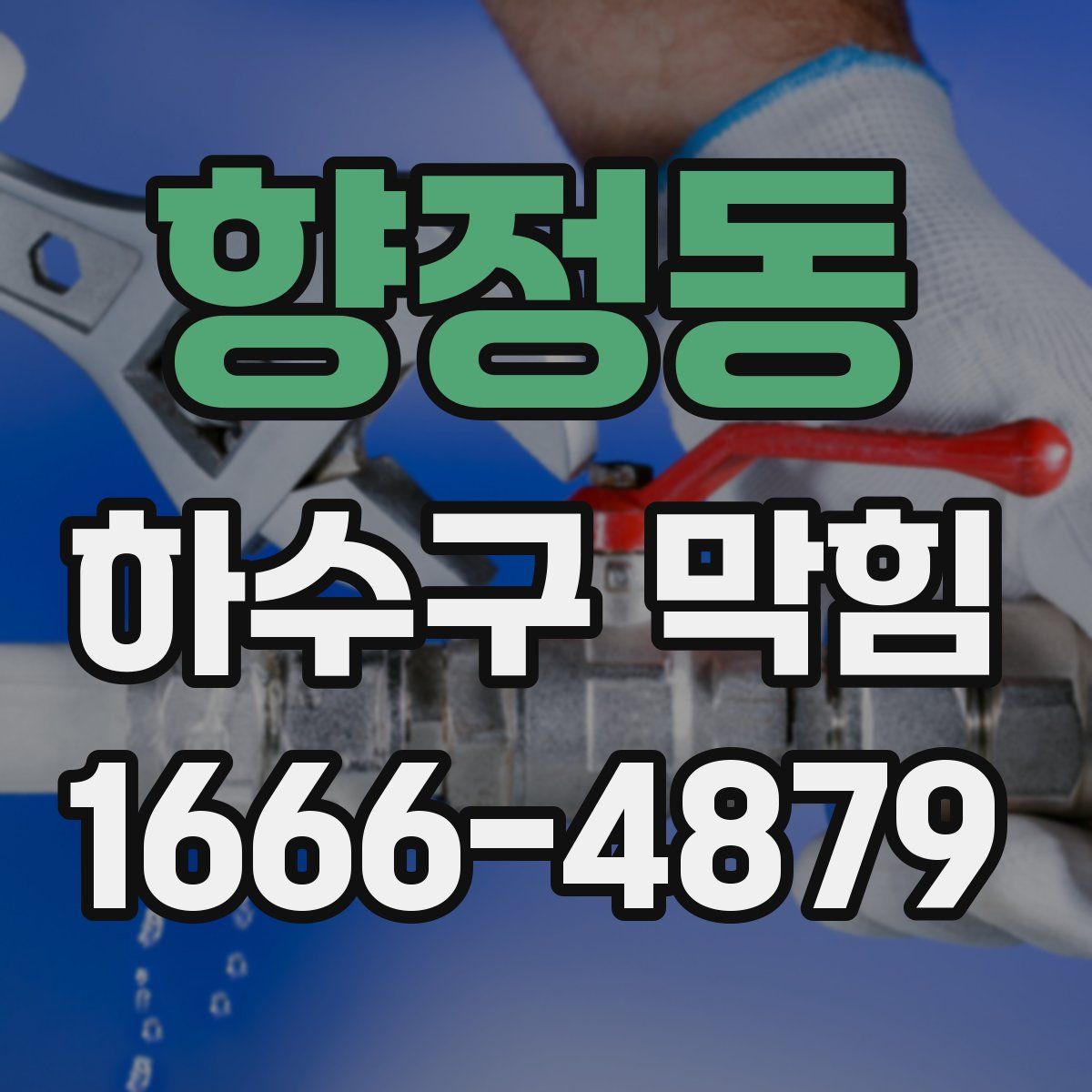 향정동 하수구 막힘