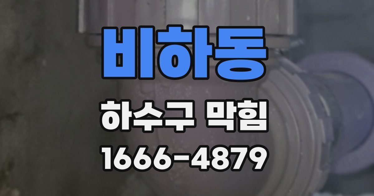 비하동 하수구 막힘