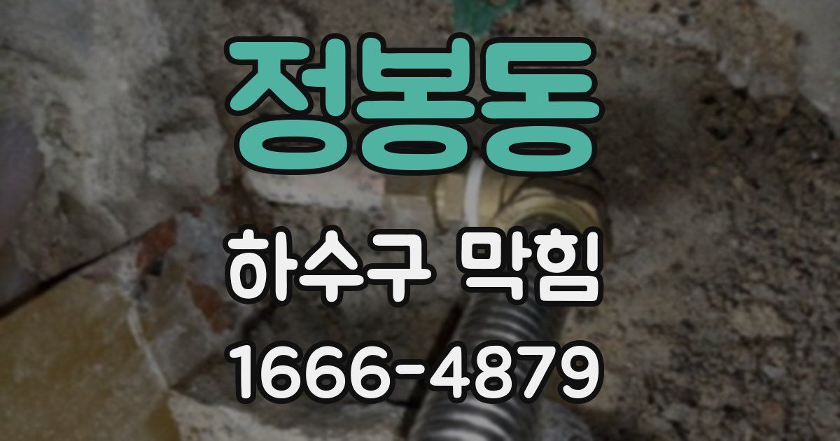 정봉동 하수구 막힘