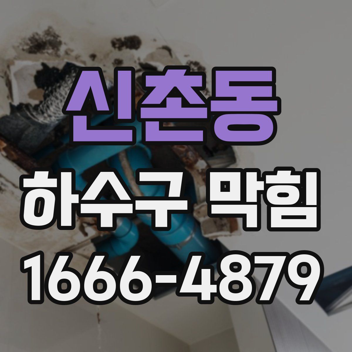 신촌동 하수구 막힘