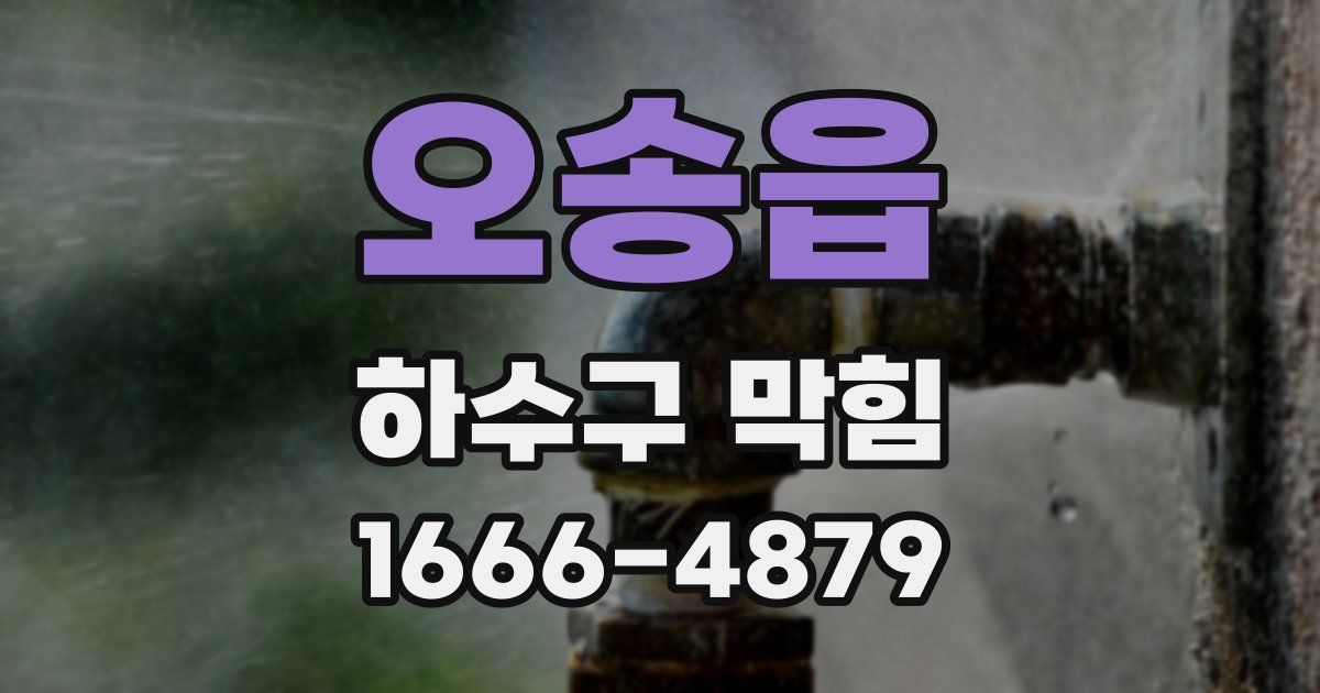 오송읍 하수구 막힘