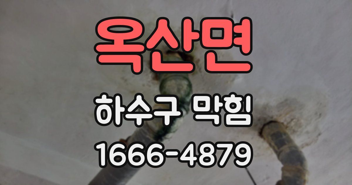 옥산면 하수구 막힘