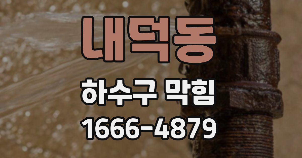 내덕동 하수구 막힘