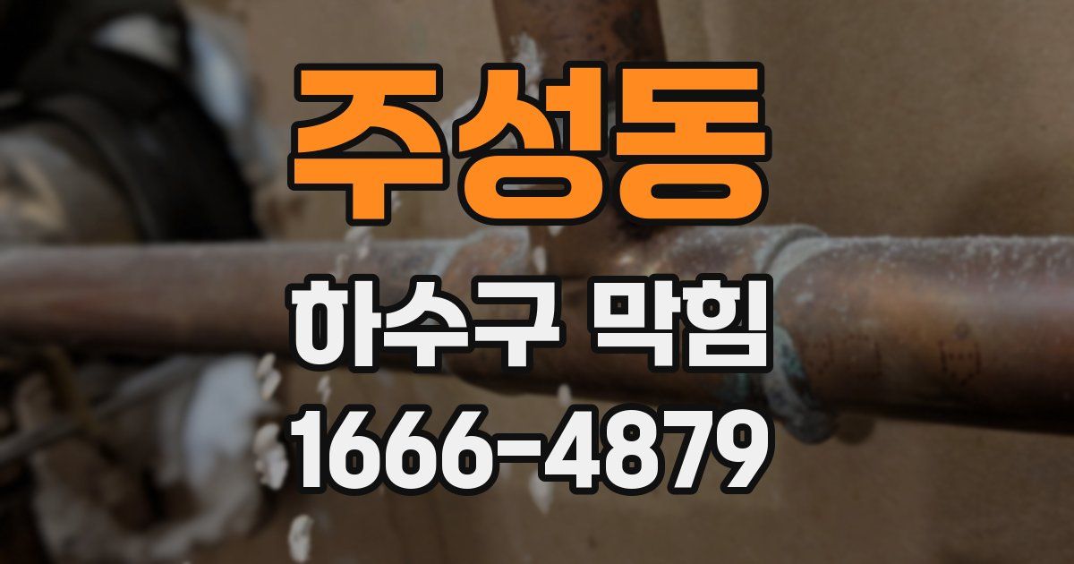 주성동 하수구 막힘