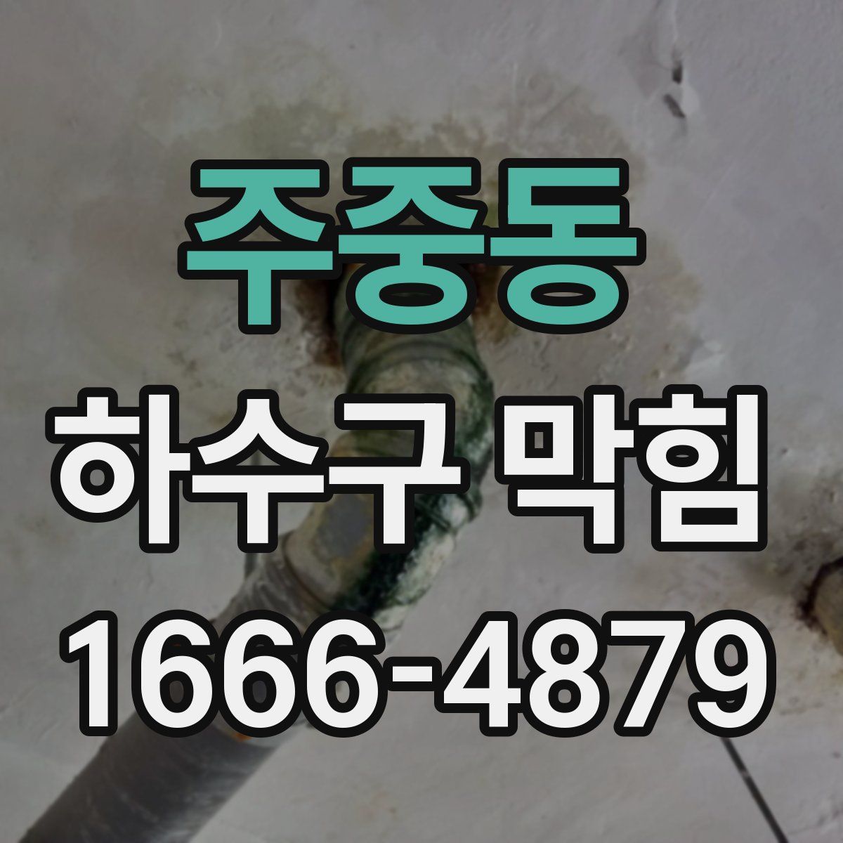 주중동 하수구 막힘