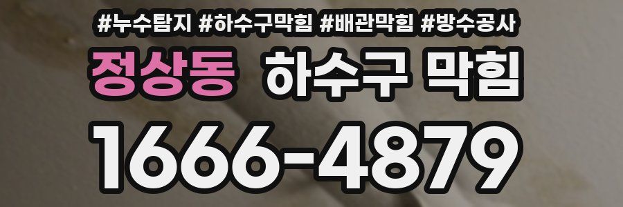정상동 하수구 막힘