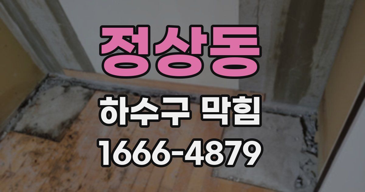 정상동 하수구 막힘