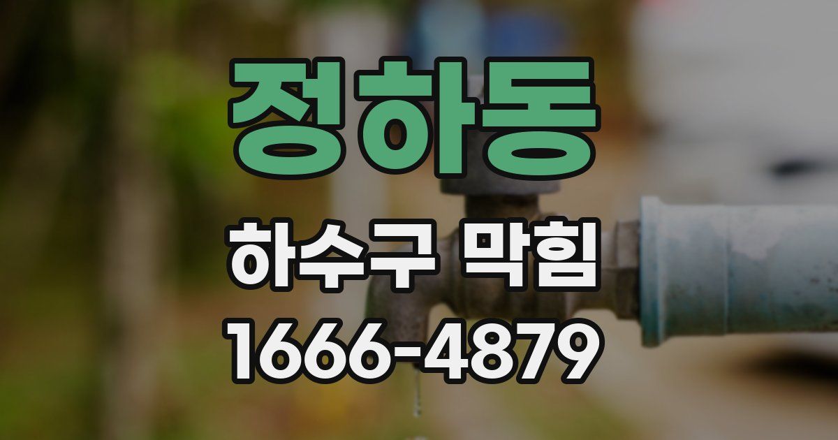 정하동 하수구 막힘