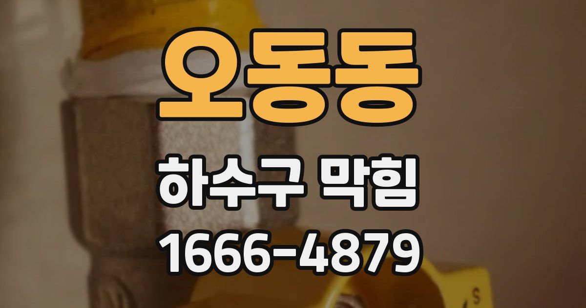 오동동 하수구 막힘