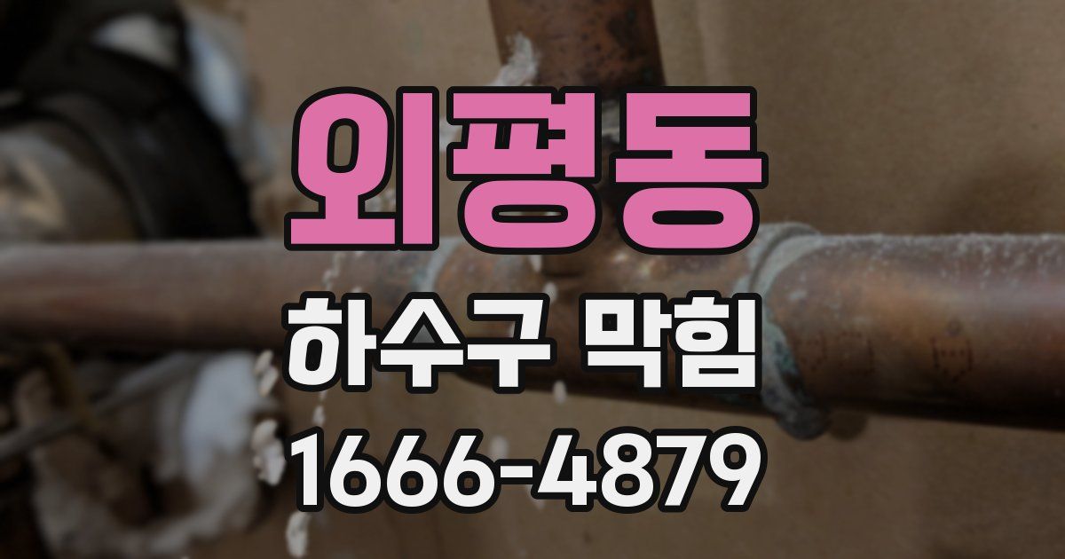 외평동 하수구 막힘