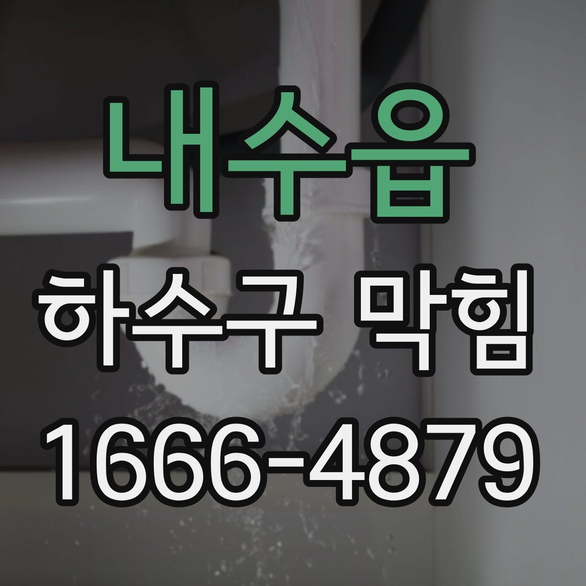 내수읍 하수구 막힘