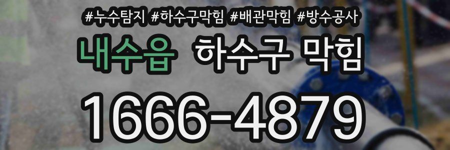 내수읍 하수구 막힘