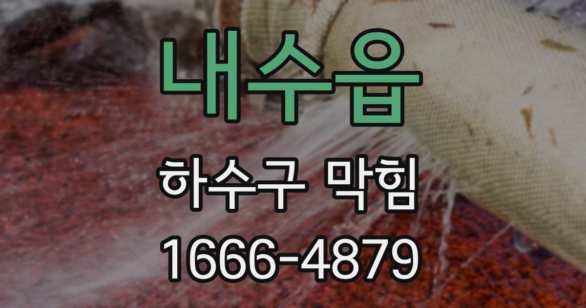 내수읍 하수구 막힘