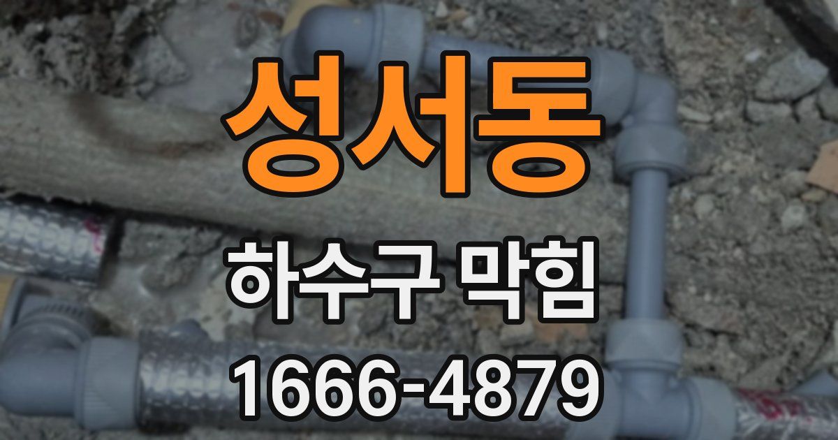 성서동 하수구 막힘