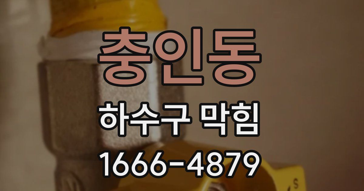 충인동 하수구 막힘