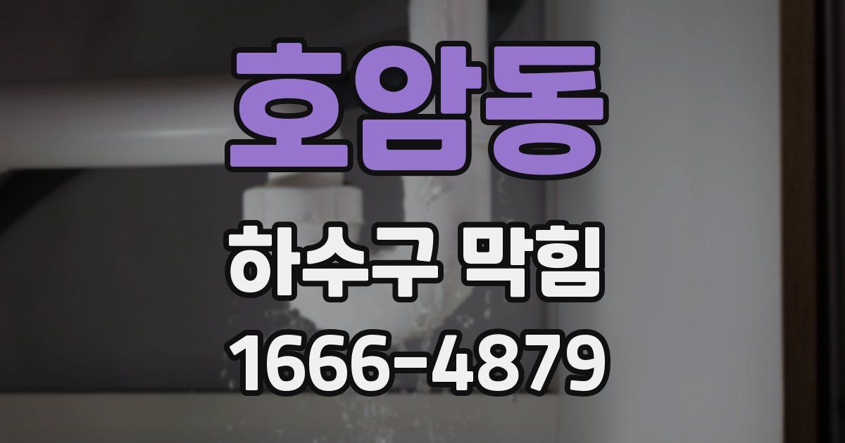 호암동 하수구 막힘