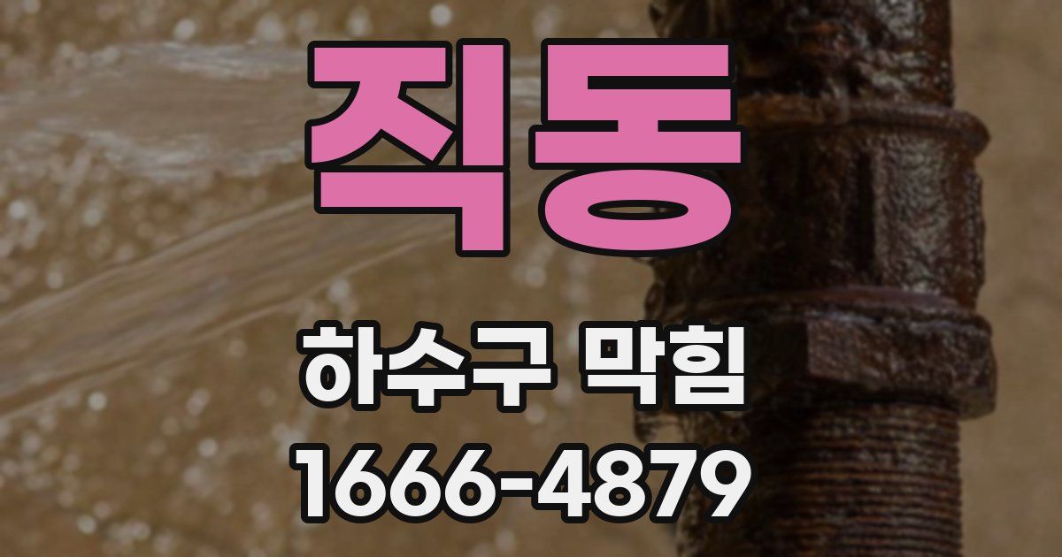 직동 하수구 막힘