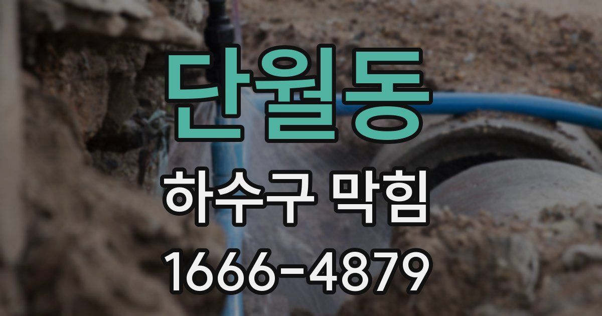 단월동 하수구 막힘