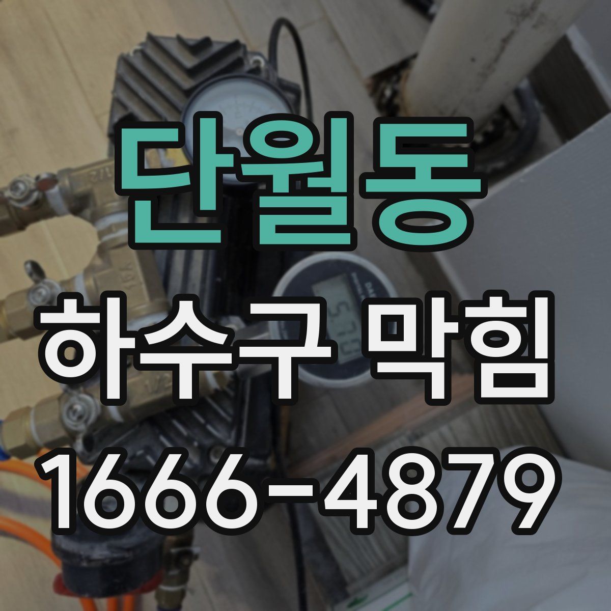 단월동 하수구 막힘