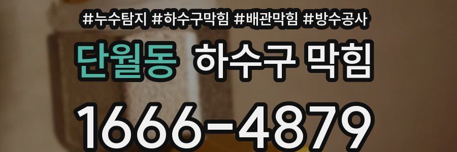 단월동 하수구 막힘