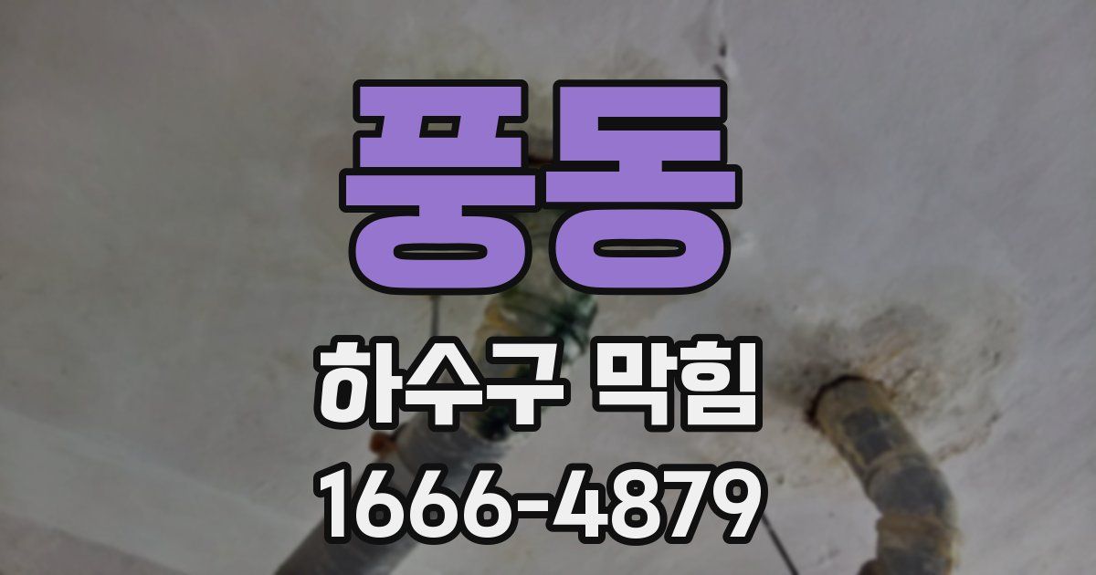 풍동 하수구 막힘