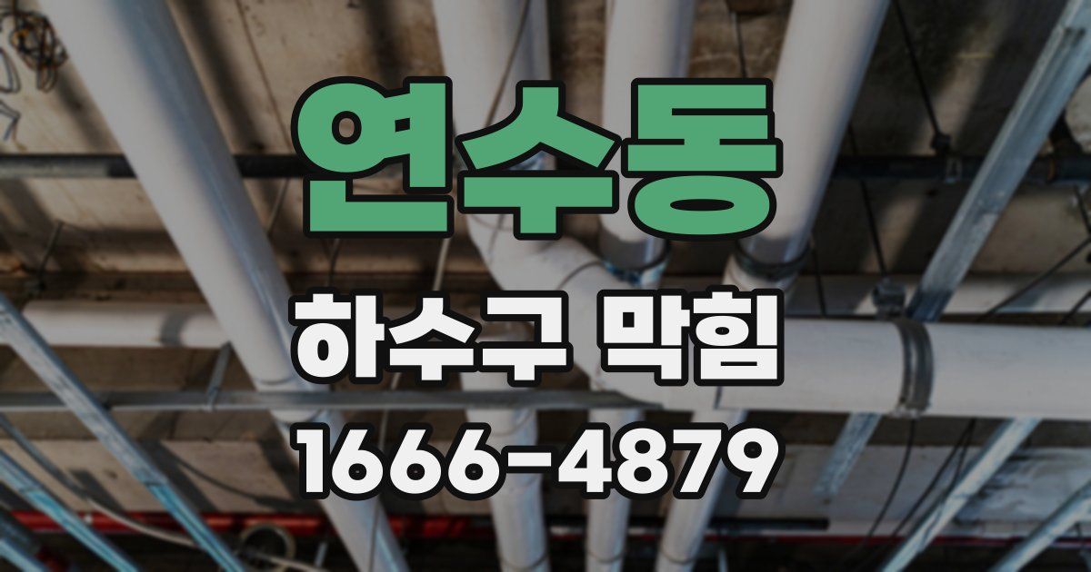 연수동 하수구 막힘