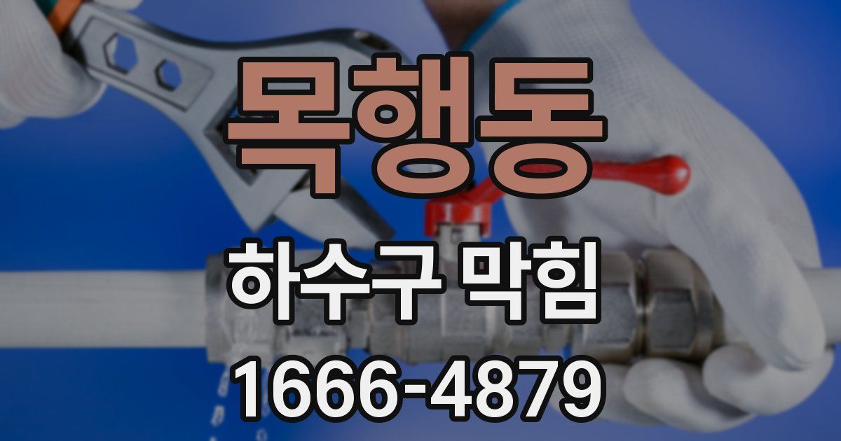 목행동 하수구 막힘