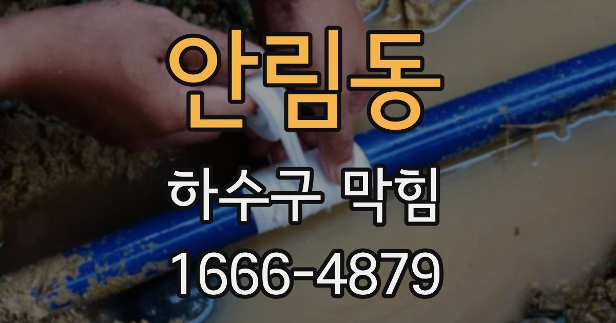 안림동 하수구 막힘