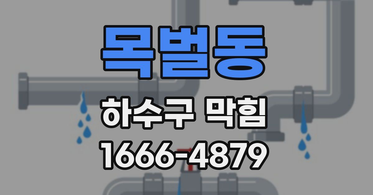 목벌동 하수구 막힘