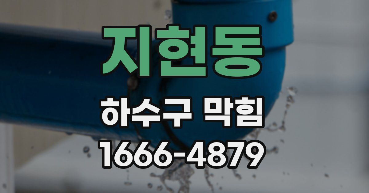 지현동 하수구 막힘