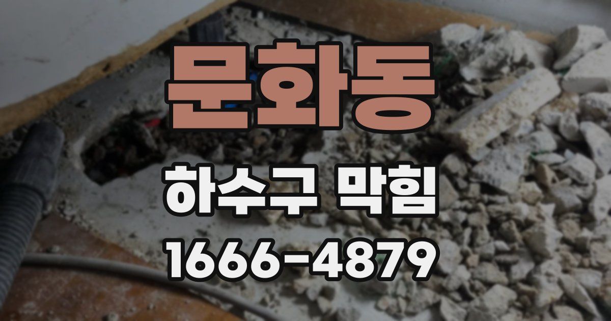 문화동 하수구 막힘