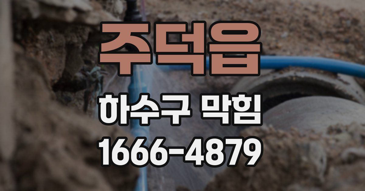 주덕읍 하수구 막힘