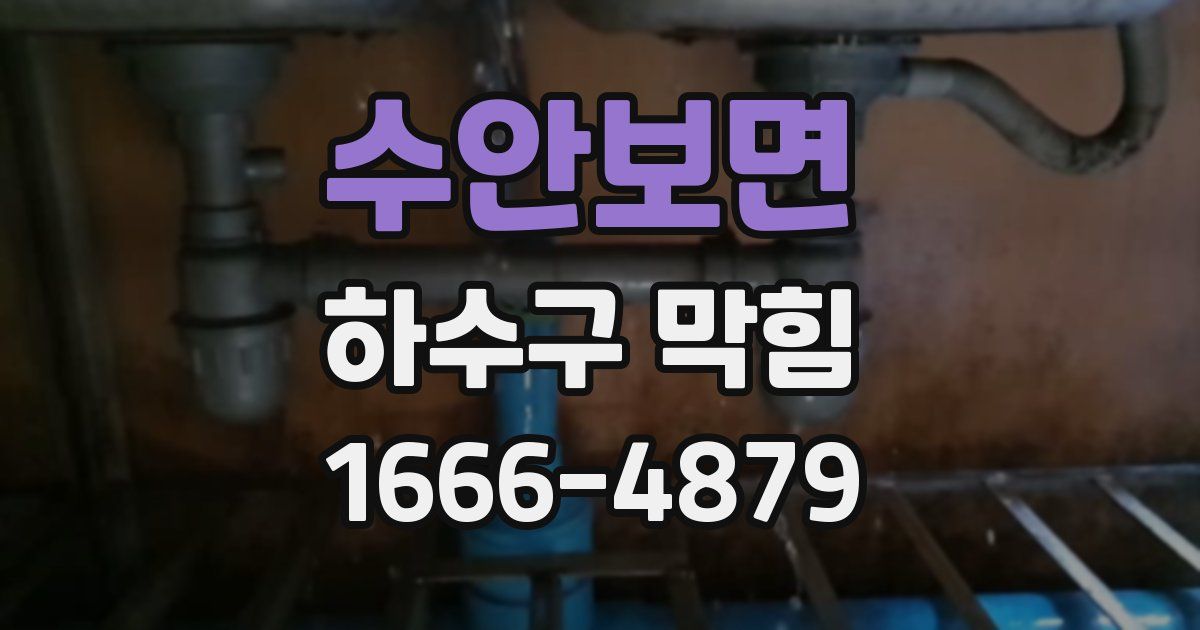 수안보면 하수구 막힘