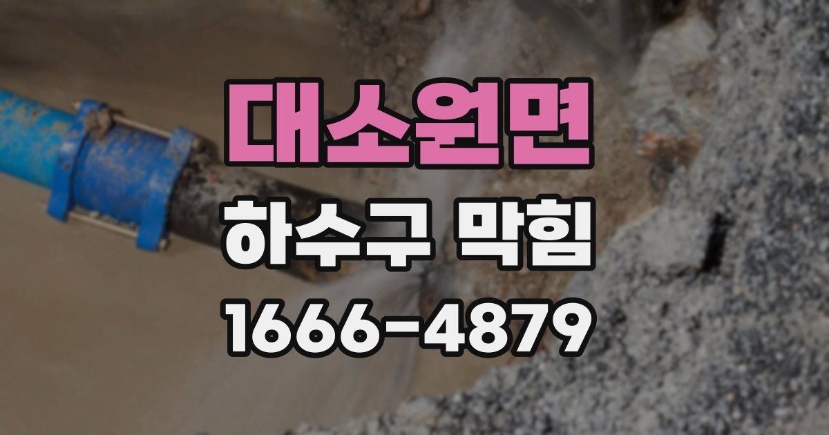 대소원면 하수구 막힘