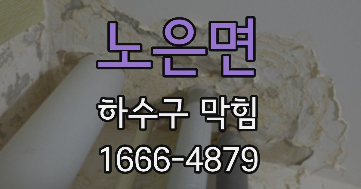 노은면 하수구 막힘