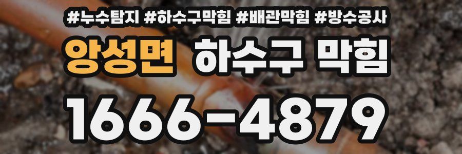 앙성면 하수구 막힘