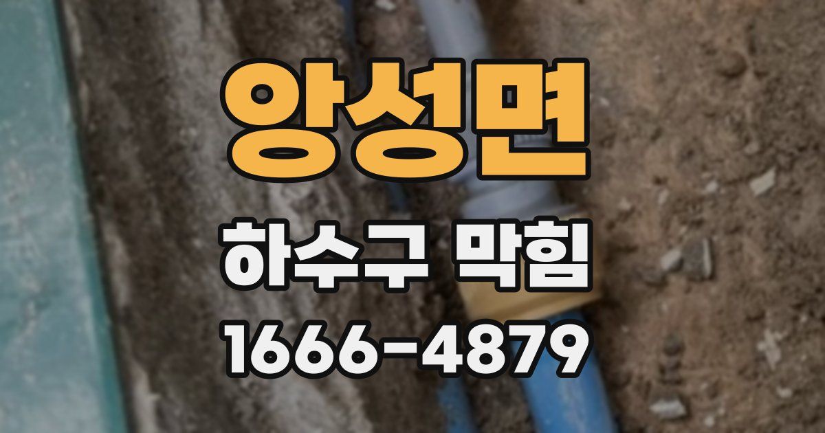 앙성면 하수구 막힘