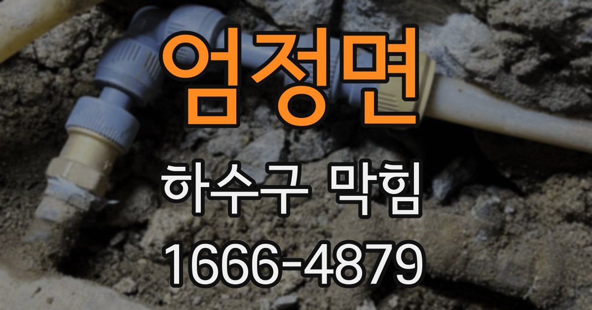 엄정면 하수구 막힘