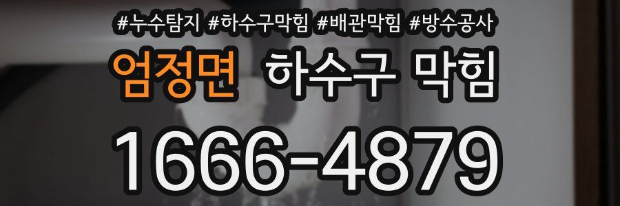 엄정면 하수구 막힘
