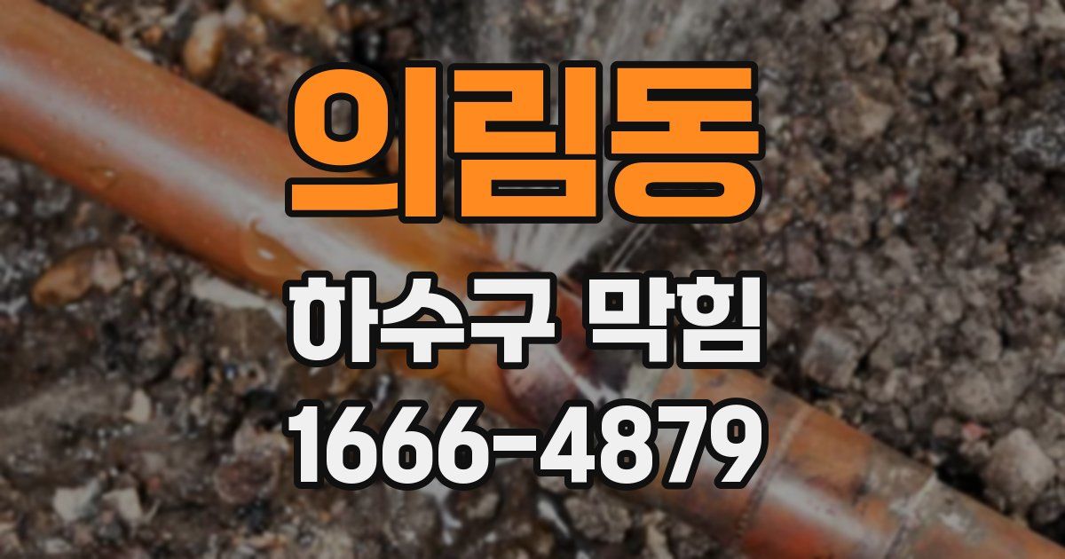 의림동 하수구 막힘