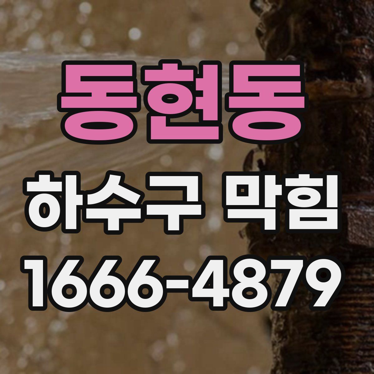 동현동 하수구 막힘