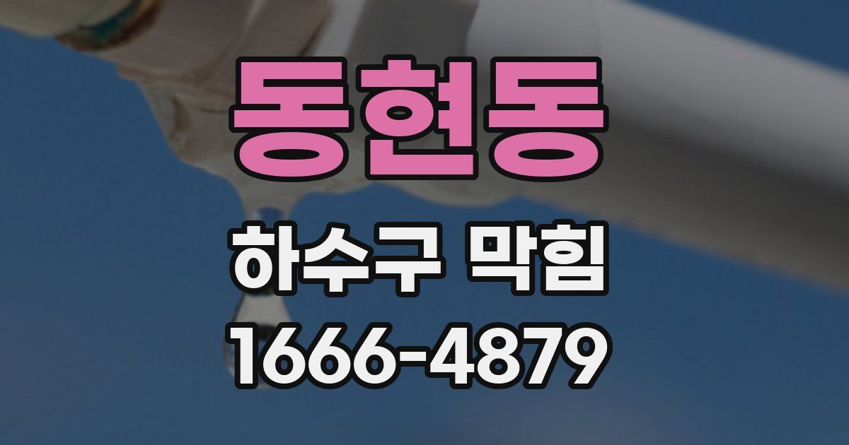 동현동 하수구 막힘