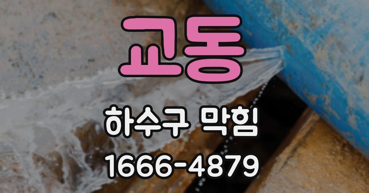 교동 하수구 막힘