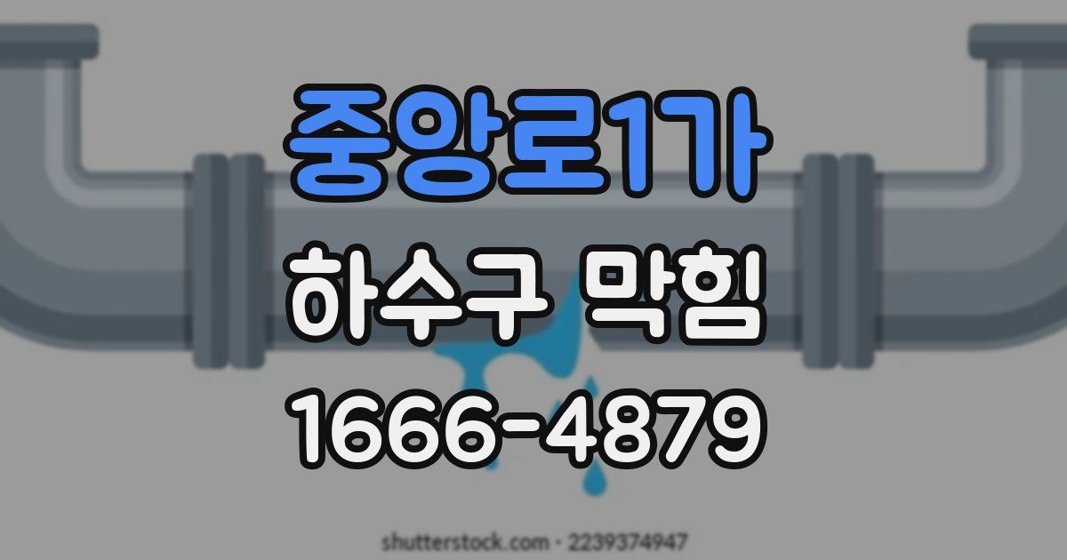 중앙로1가 하수구 막힘