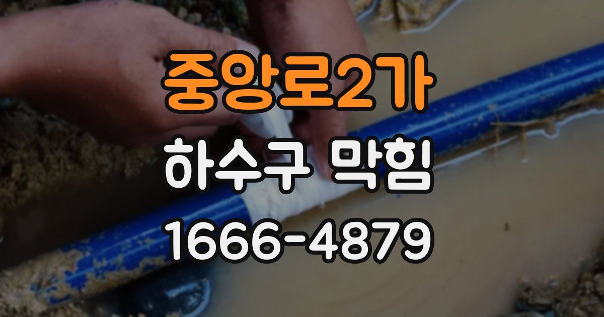 중앙로2가 하수구 막힘