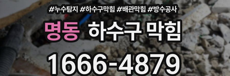 명동 하수구 막힘