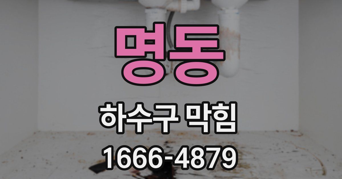 명동 하수구 막힘