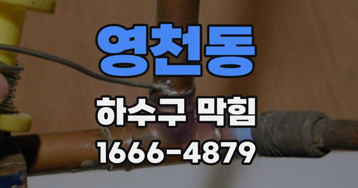 영천동 하수구 막힘